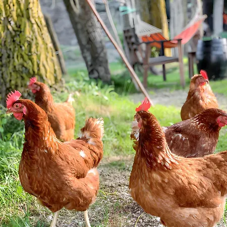 Comfortable In - 55 M² - Parking Available