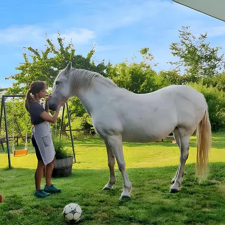 Comfortable In - 55 M² - Parking Available Apartman