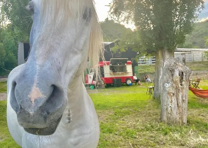 Lägenhet Comfortable In - 55 M² - Parking Available *