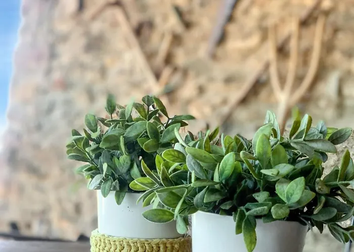 Comfortable In - 55 M² - Parking Available * Ardanué