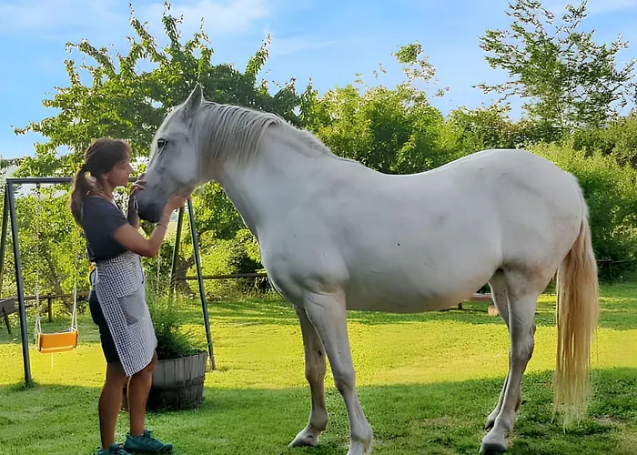 Comfortable In - 55 M² - Parking Available Lägenhet